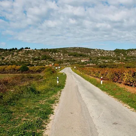 Bargujac Summer House * Vis