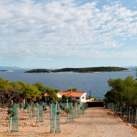 Bargujac Summer House * Vis