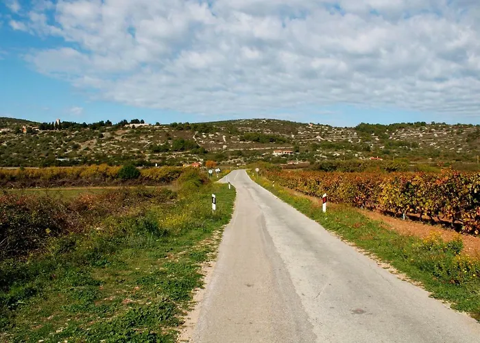 Bargujac Summer House * Vis