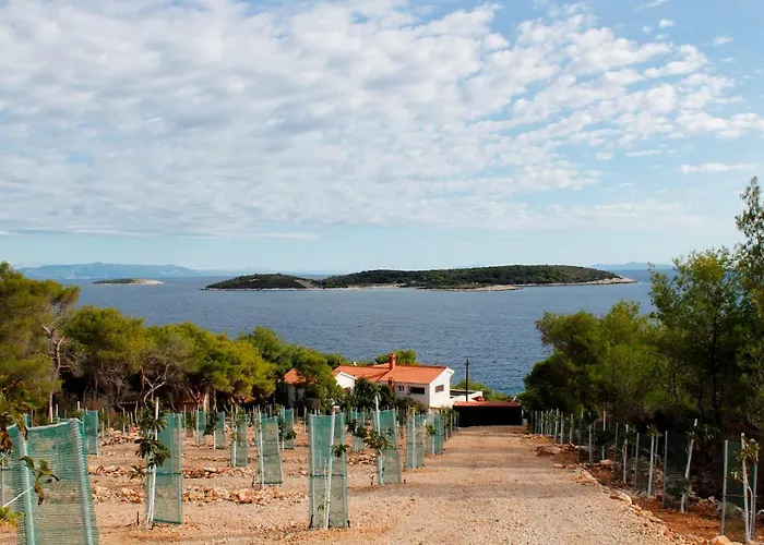 Bargujac Summer House * Vis